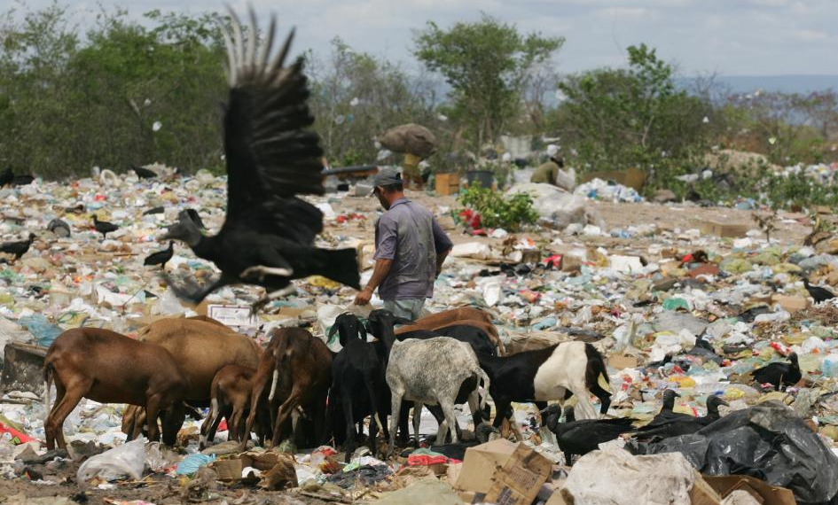 Lei obriga municípios brasileiros a acabarem com os lixões até 2014
