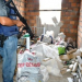 Feira de Santana – Polícia Civil apreende mais de meia tonelada de maconha durante operação