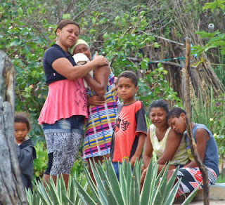 Agricultor morre com tiro acidental enquanto limpava espingarda
