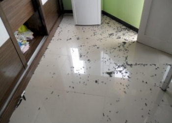 Professor estadual sofre tentativa de homicídio, e alunos são suspeitos