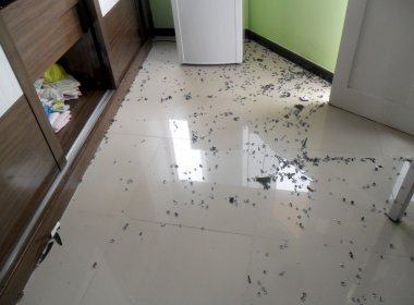 Professor estadual sofre tentativa de homicídio, e alunos são suspeitos