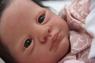 Olivia está para adoção