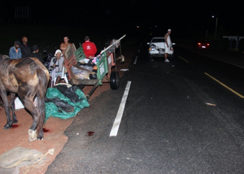 Flagrante: Saveiro bate em carroça com quatro ocupantes; só o burro ficou ferido