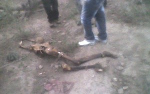 Ossada humana é encontrada na zona rural de Queimadas