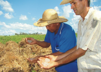 Produtores rurais terão benefícios de R$ 560
