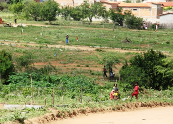 Sem tetos invadem terrenos na área urbana de Santaluz e paralisam rodovia