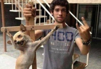 Redes sociais: Imagem de cão crucificado causa polêmica