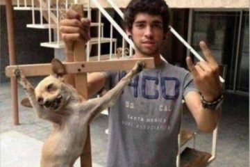 Redes sociais: Imagem de cão crucificado causa polêmica