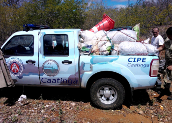 21 mil pés de maconha são encontrados por Polícia da BA e quatro pessoas são presas