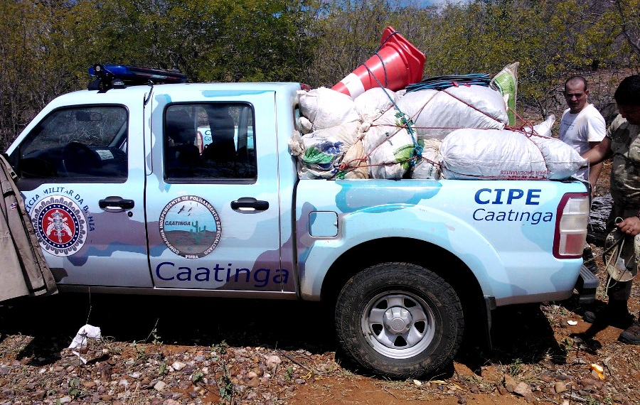 21 mil pés de maconha são encontrados por Polícia da BA e quatro pessoas são presas