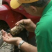 Feira de Santana: homem vai à feirinha, e na volta encontra moto repleta de abelhas