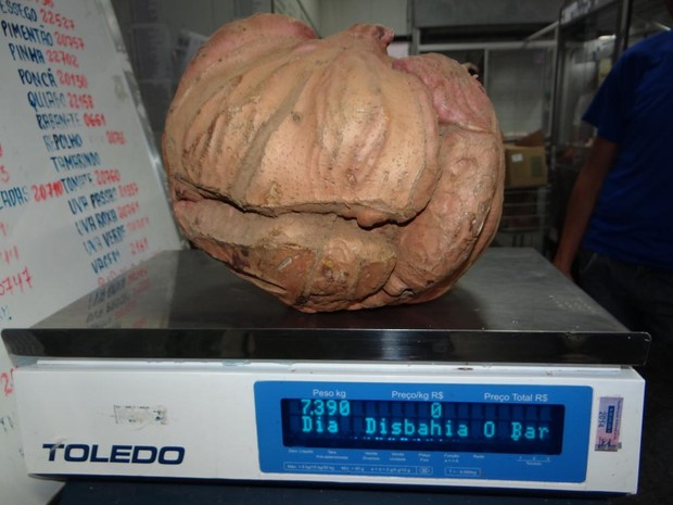 Agricultor colhe batata doce com mais de 7 kg no interior da Bahia