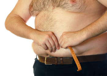 Bactérias podem ser armas para o combate à obesidade