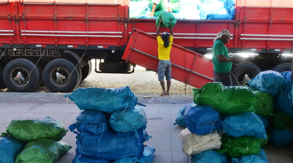 São Domingos: Secretaria de Agricultura e EBDA entregam palma forrageira para produtores do município