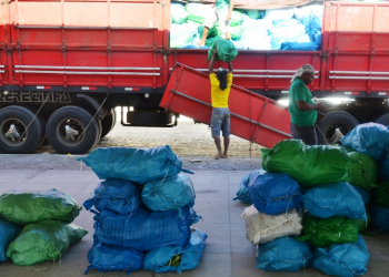 São Domingos: Secretaria de Agricultura e EBDA entregam palma forrageira para produtores do município