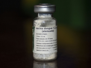 Começam a ser recrutados voluntários para teste de vacina contra a dengue