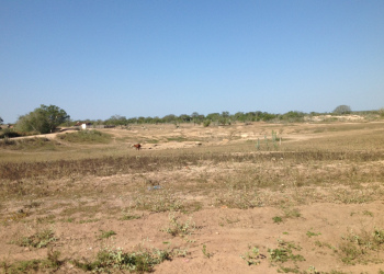 Seca: Coité registra índice de chuva de 342 mm em todo o ano