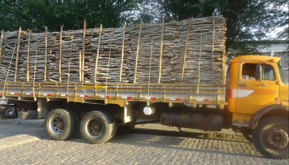 Santa Luz – Caminhão é apreendido, e dois homens são presos acusados de transportar madeira irregular