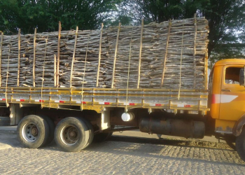 Santa Luz – Caminhão é apreendido, e dois homens são presos acusados de transportar madeira irregular