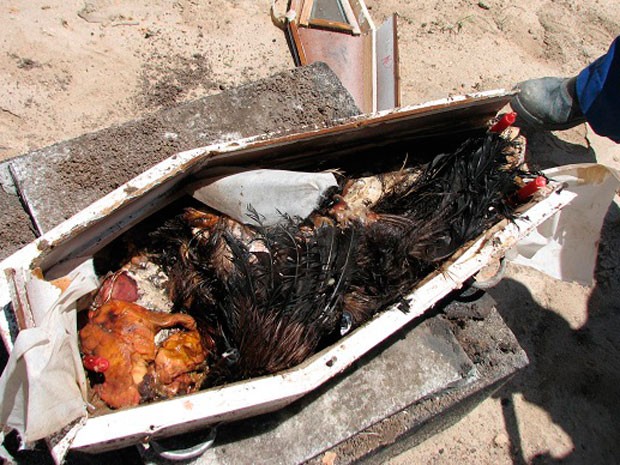 Polícia da Bahia investiga suspeita de magia negra com criança (Foto: Liberdadenews.com.br)