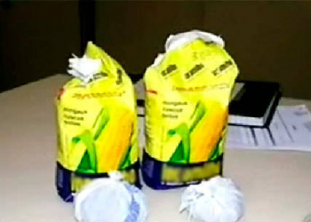 Jovem tenta entrar em presidio com drogas dentro de pacotes de fubá de milho