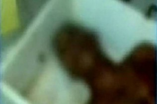 Dentista foi morto com mais de 30 facadas Foto: Reprodução Record Ba