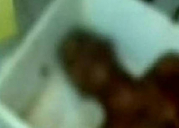 Dentista é morto com mais de 30 facadas pela namorada