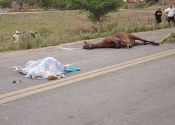 Motociclista morre e carona fica ferida depois de atropelar animal próximo ao Jorrinho