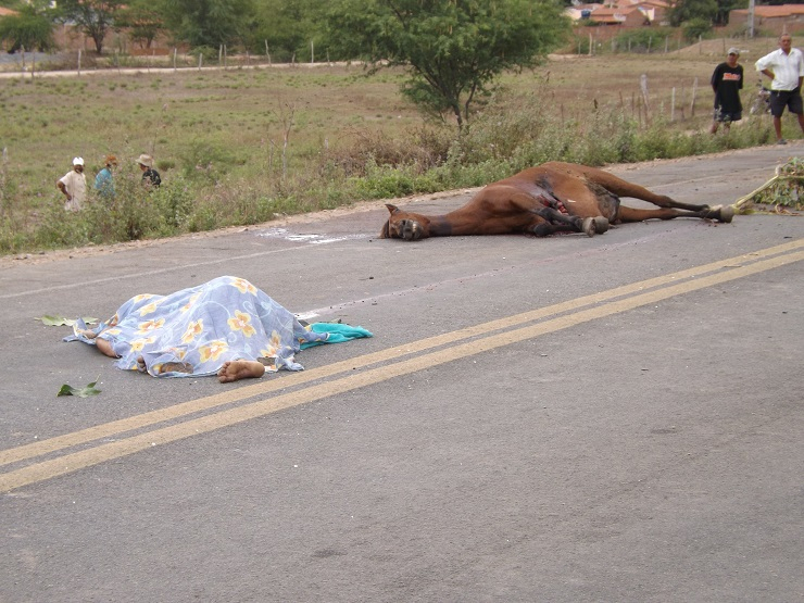 Motociclista morre e carona fica ferida depois de atropelar animal próximo ao Jorrinho