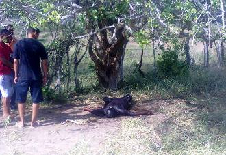 Corpo encontrado em estado de decomposição na zona rural