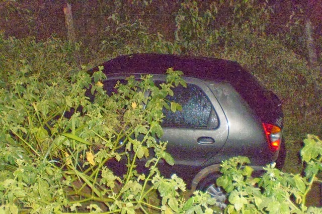 Chefe do Detran e empresário são baleados em Mairi