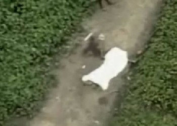 Corpo de jovem é encontrado em via pública