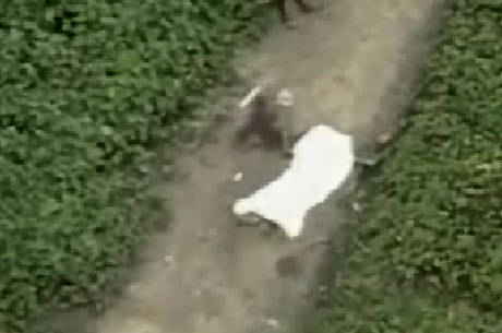 Corpo de jovem é encontrado em via pública