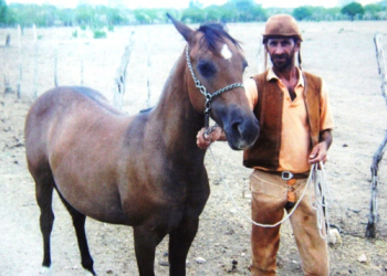 Coité – Vaqueiro morre depois de ser atingido por um coice de mula