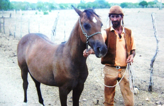 Coité – Vaqueiro morre depois de ser atingido por um coice de mula