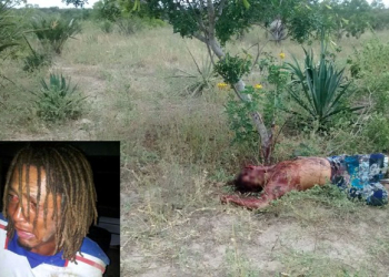 Homem á assassinado a golpes de foice; suspeitos são presos