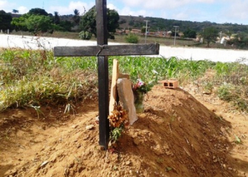 Ribeira do Pombal:milho e batata são plantados dentro de cemitério