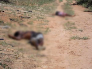 Araci: dois corpos de irmãos são encontrados com sinais de tortura ao lado da BR-116