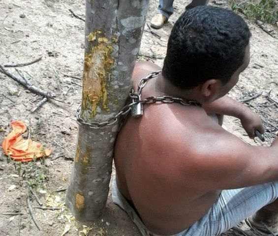 Mototaxista tem veículo tomado de assalto e bandido o deixa acorrentado em árvore