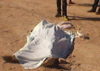 Monte Santo: idoso é executado a tiros na zona rural