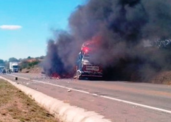 Acidente na BR 116/Sul mata quatro pessoas