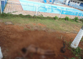 Mairi- Homem é encontrado morto em Clube da AABB  supostamente depois de ser atacado por cães