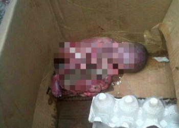 Bebê é encontrado morto dentro de caixa