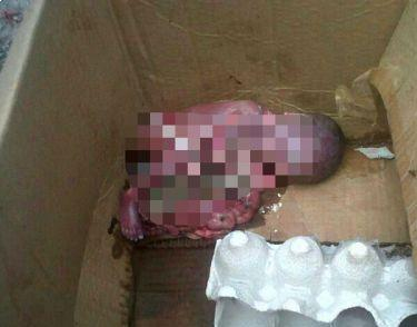Bebê é encontrado morto dentro de caixa