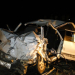 Dois morrem em batida com carro  na BA-250