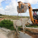 Coité – Cavalo cai em “boca de lobo” e é resgatado por retroescavadeira