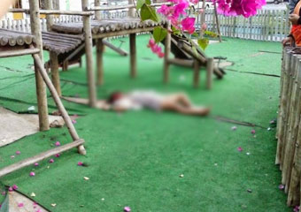 Mulher é assassinda a pedradas em Praça Pública de Miguel Calmon