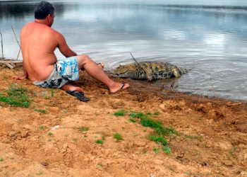 Homem mantém amizade com jacaré há 20 anos