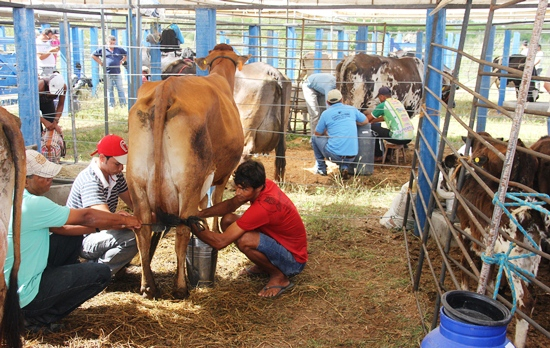 3ª AGRIFAM de São Domingos consolidado maior evento de agronegócios da região do sisal