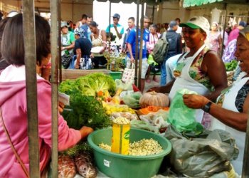Agricultores comercializam seus produtos em Feira Agroecológica organizada pela APAEB Serrinha